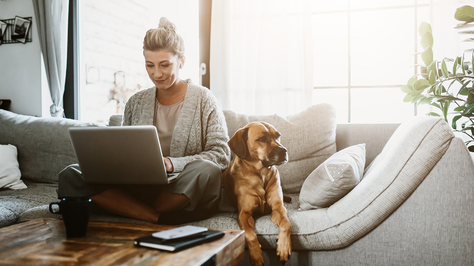 Woman on laptop with dog at home